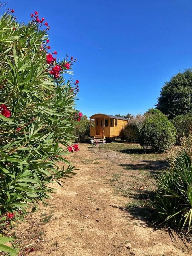 La roul'hôte dépote Acomodação com café da manhã Monbéqui Exterior foto